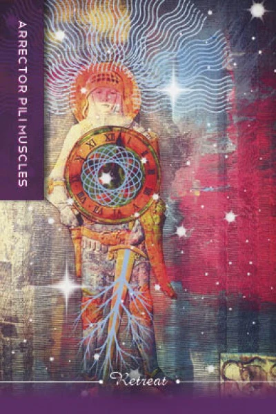 Body Cards : Insight from the Body, Wisdom for the Soul